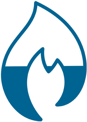 FHIR Flame blue icon (2)-1