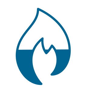 FHIR Flame blue icon